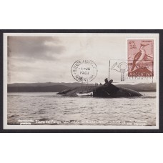 USHUAIA TIERRA DEL FUEGO ANTIGUA TARJETA POSTAL DEL HUNDIMIENTO DEL MONTE CERVANTES